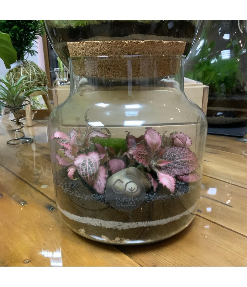 TERRARIUM SHOP ONLINE:Terrarium Pink Lady